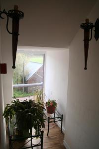 Gallery image of Ar Litorienn in Paimpont +19 photos