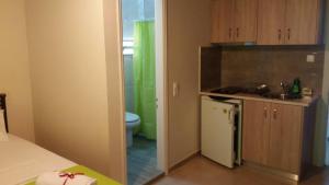a small kitchen with a sink and a refrigerator at Zacharogianni Studios in Nikiana