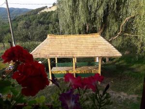 Cottage Poe في Poienari: شرفة مع سقف مع زهور حمراء