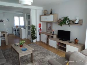 a living room with a couch and a tv at Apartamento Datue in Elizondo