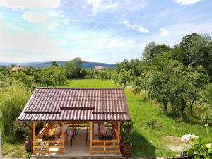 a small building with a roof on a field at Pensiunea Codruta in Carpinis