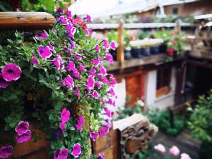 Jardín al aire libre en Courtyard Shangri-la 藏舍小院