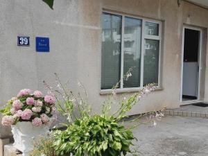 Fotografia z galérie ubytovania Apartman Vlado v destinácii Zadar