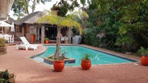 a swimming pool with two potted plants next to a house at Walmer Heights Guest House in Port Elizabeth