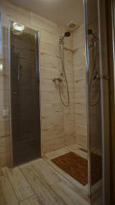 a shower with a glass door in a bathroom at Gryf-Balt Domki drewniane in Międzywodzie