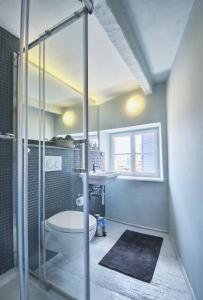 a bathroom with a shower and a toilet and a sink at Room Zimmer Portarol in Vodnjan