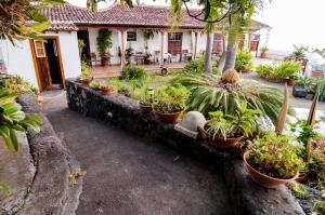 Zahrada ubytování Finca Arminda