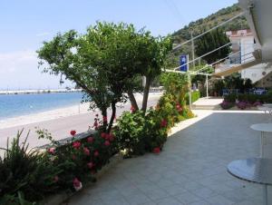 einen Strand mit einem Baum, Blumen und einem Tisch in der Unterkunft Apollon Hotel in Tiros