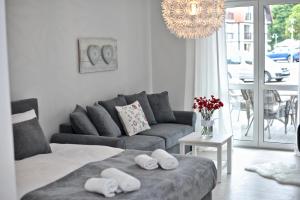 a living room with a couch and a chandelier at Apartamenty Porto Eli in Rowy