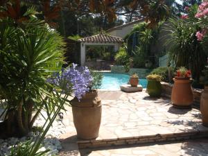 einen Garten mit Topfpflanzen und einem Pool in der Unterkunft Villa Fleurie in Les Angles Gard