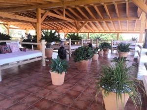 Reštaurácia alebo iné gastronomické zariadenie v ubytovaní Hostal Casa Arco Iris (Playa)