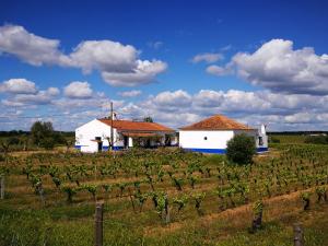 Photo de la galerie de l'établissement Monte dos Velhos, à Reguengos de Monsaraz