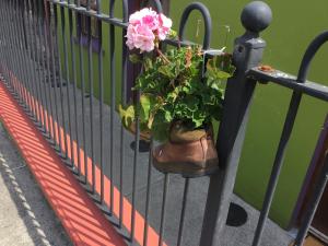 Balkón nebo terasa v ubytování O'Connors Guesthouse