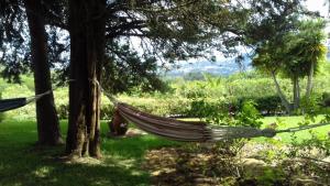 a hammock hanging from a tree in a yard at Quinta Verde Sintra - Casa de Campo in Sintra