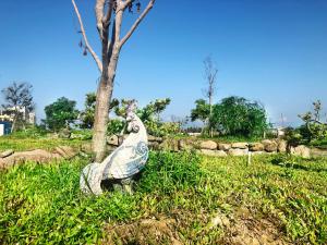 Vrt ispred objekta Pisces Garden B&B