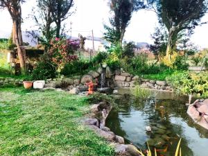 Vrt ispred objekta Pisces Garden B&B