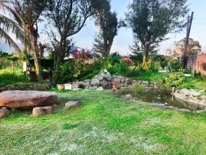 Vrt ispred objekta Pisces Garden B&B