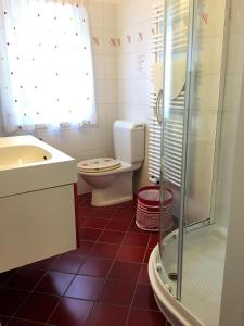 W łazience znajduje się toaleta, umywalka i prysznic. w obiekcie Riva san Vitale w mieście Riva San Vitale