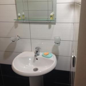 un bagno con un lavandino bianco e uno specchio di Guest house PANORAMA a Theth