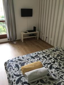 Schlafzimmer mit einem Bett mit einem Kissen und einem TV in der Unterkunft Apartament Praga in Warschau