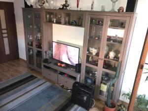 TV tai viihdekeskus majoituspaikassa luxury apartment mihai bravu