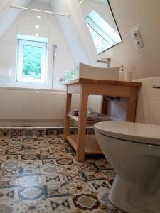 a bathroom with a toilet and a sink at Na Świerkowym Strychu in Szczawnica