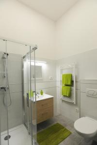 a bathroom with a shower and a toilet and a sink at M37 Apartman in Debrecen