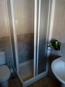 a shower in a bathroom with a toilet and a sink at Apartamento Cefas in O Pedrouzo