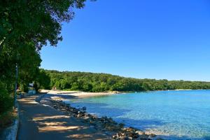 a beach with a bunch of birds on the water at Apartment Luce in Njivice