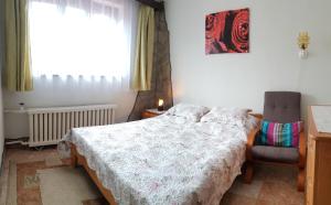 um quarto com uma cama, uma cadeira e uma janela em Apartment Janka Demanova em Liptovský Mikuláš