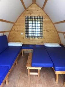 Habitación con sofás azules y ventana en Bower Pods en Bowermadden