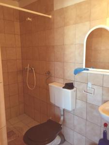 a bathroom with a toilet and a shower at U Pauli i Eryka in Łeba