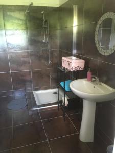 een badkamer met een wastafel en een douche bij Madinina'S Cube in Saint-Aignan