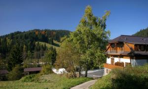 Příroda nedaleko apartmánu