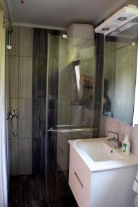 Un baño de Vikendica Ahatovići 89 fotos más