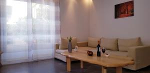 Nápoje v ubytovaní Spacious Apartment in the Historical Center of Athens