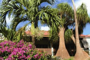 a house with palm trees and flowers in front of it at Le Panoramic in Les Trois-Îlets