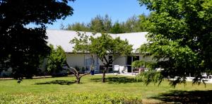 ein weißes Gebäude mit einem Baum im Hof in der Unterkunft Zula Lodge in Wanaka