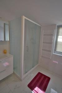 a bathroom with a glass shower and a red rug at Apartment Carlitos in Karlobag