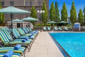 a row of lounge chairs with umbrellas and a pool at Grand Hyatt Atlanta in Buckhead in Atlanta