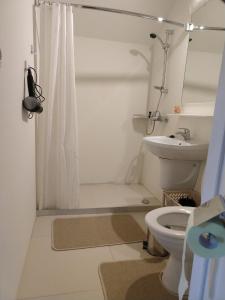 La salle de bains blanche est pourvue d'une douche et de toilettes. dans l'établissement Pokoje Rożnów, à Rożnów