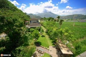 an aerial view of a garden with trees and a house at Nantou Puli Sunrise Villa Homestay B&B in Puli