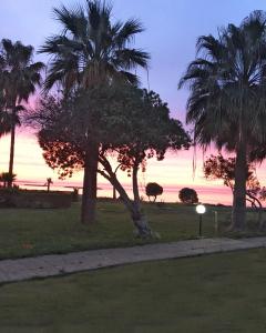 Φωτογραφία από το άλμπουμ του Sandy Beach Apartment 8  στην Ορόκλινη