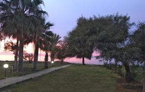 Φωτογραφία από το άλμπουμ του Sandy Beach Apartment 8  στην Ορόκλινη