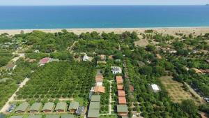 eine Luftansicht einer Baumplantage neben dem Meer in der Unterkunft Secret Garden Hotel & Bungalows in Cıralı