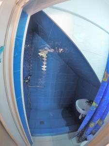 フォンタンカにあるFontanka Domの青いタイル張りのバスルーム(シャワー、トイレ付)