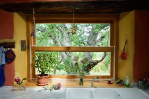 a window over a sink in a kitchen with a tree at Casa della Casa in San Severino Marche