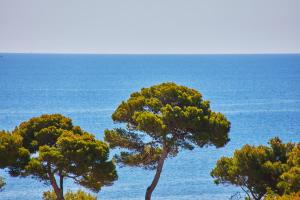 un grupo de árboles frente al océano en Petit Hotel Ses Rotges - Only Adults, en Cala Ratjada