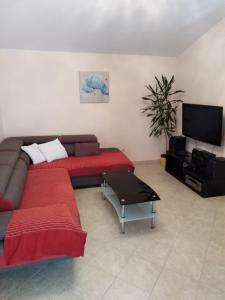 TV a/nebo společenská místnost v ubytování Apartment Ivo