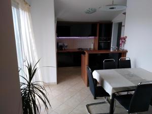 Kuchyň nebo kuchyňský kout v ubytování Apartment Ivo